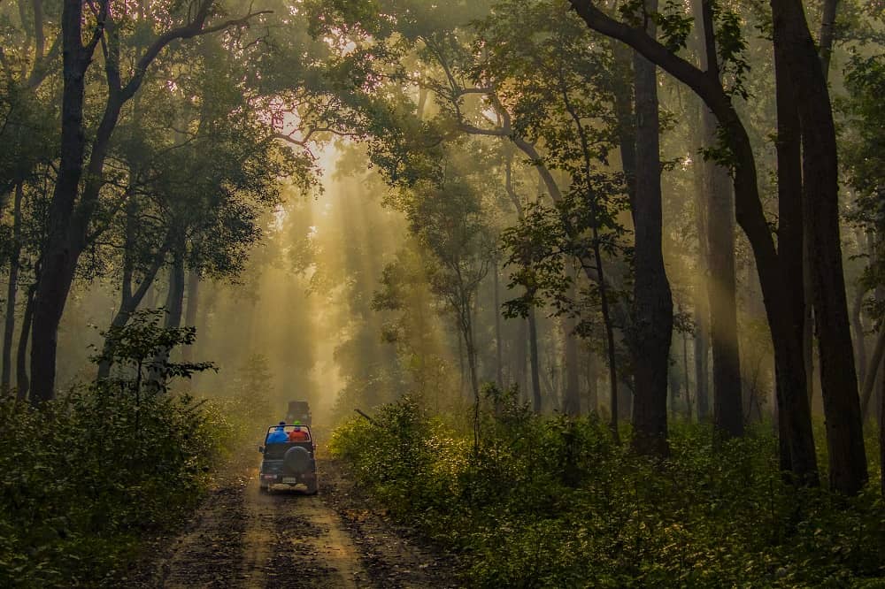 Jim-Corbett-National-Park-Uttarakhand- India
