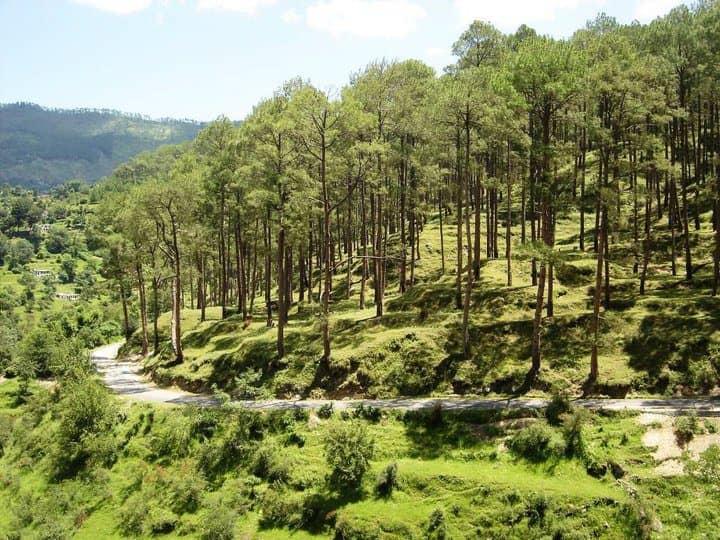 Pantngar to Almora Road