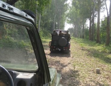 Jhilmil Jheel Reserve in Haridwar