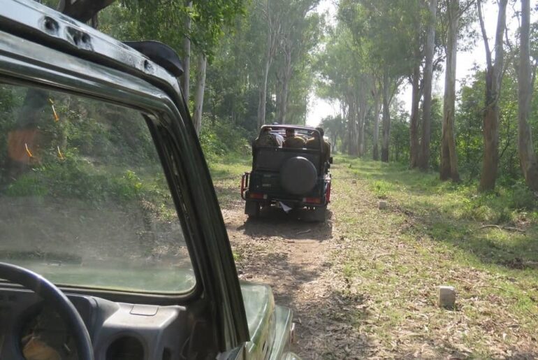 Jhilmil Jheel Reserve in Haridwar