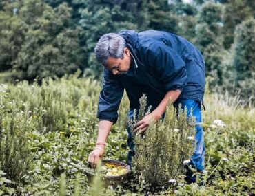 Aroma Valleys of Uttarakhand