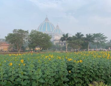 Things to do in Mayapur