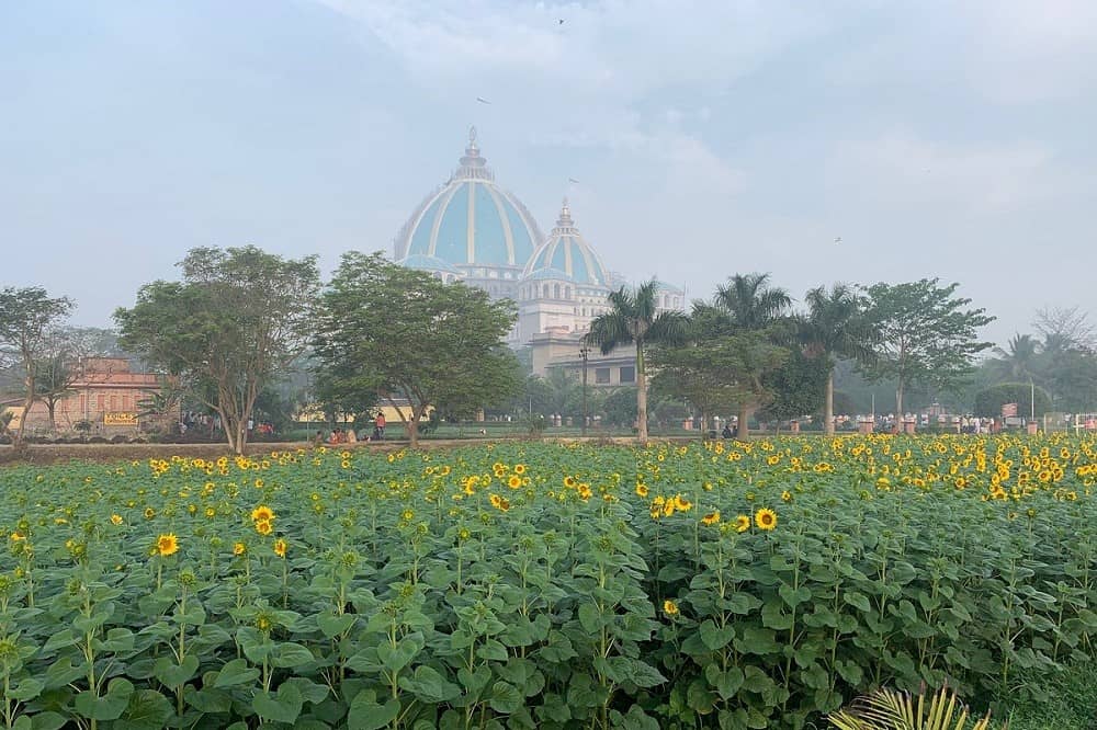Things to do in Mayapur