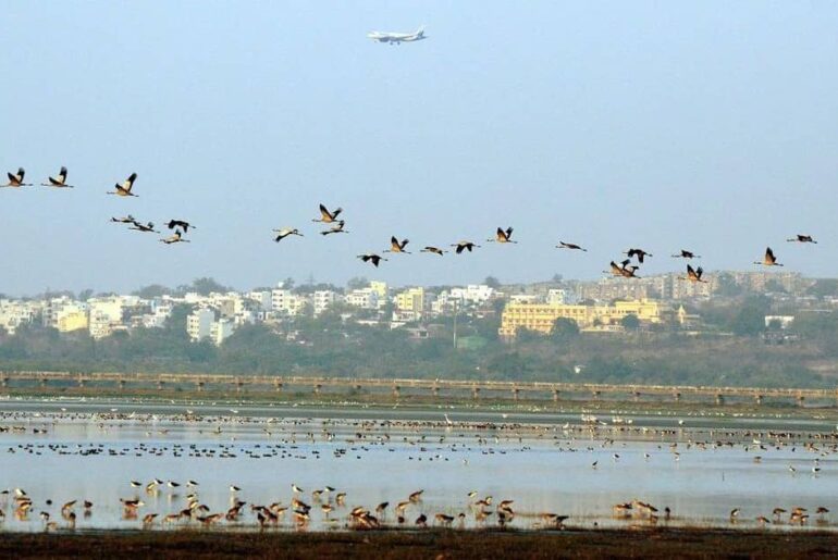 Bhoj Wetland Bhopal