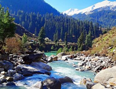 Khirganga National Park Himanchal Pradesh