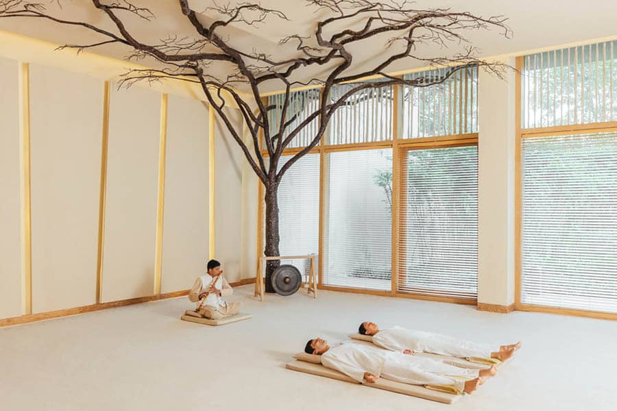 Raga Nidra: Six Senses Vana Dehradun India
