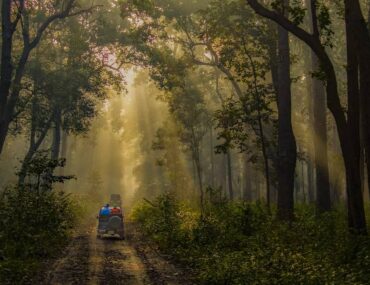 Things to do in Corbett National Park