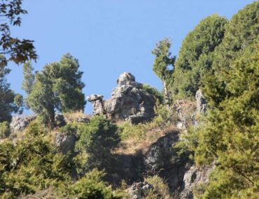 Camel's Back Road in Mussoorie