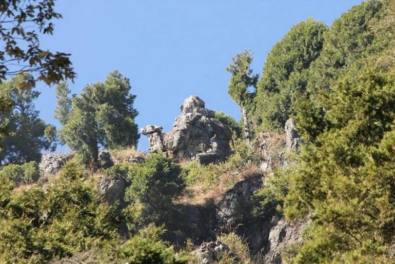 Camel's Back Road in Mussoorie