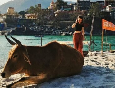 Places To Visit in Rishikesh Uttarakhand