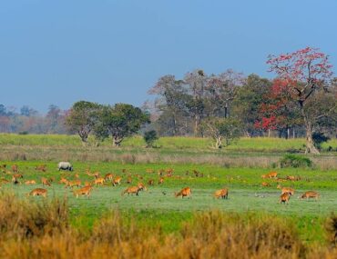 World Natural Heritage Sites of India