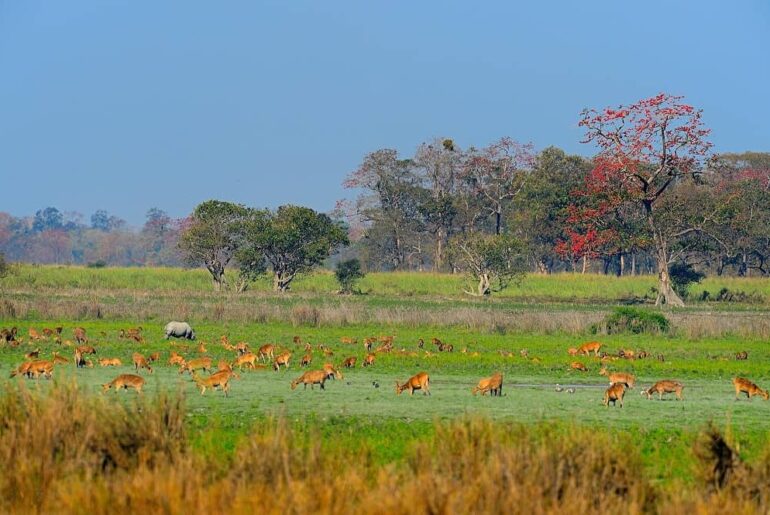 World Natural Heritage Sites of India