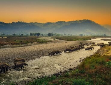 Places to visit from Delhi In Uttarakhand