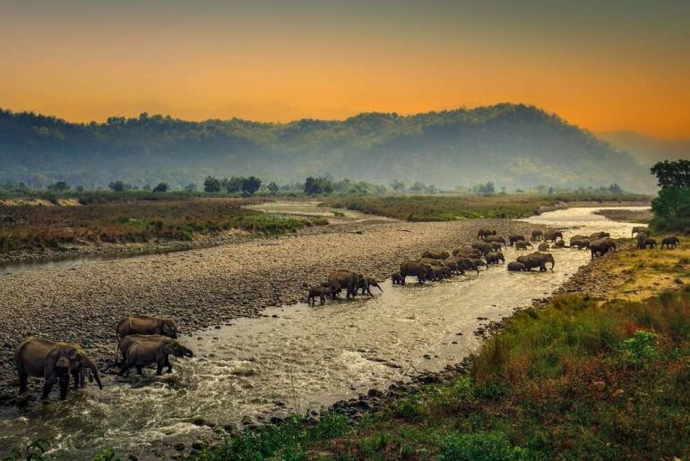 Places to visit from Delhi In Uttarakhand