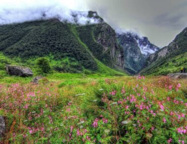 Valley of Flowers Trek Distance & Best Time to Visit