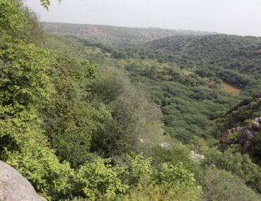 World's Largest Jungle Safari Park in India near Delhi