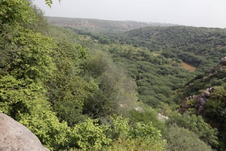 World's Largest Jungle Safari Park in India near Delhi