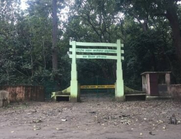 Kalesar Wildlife Sanctuary