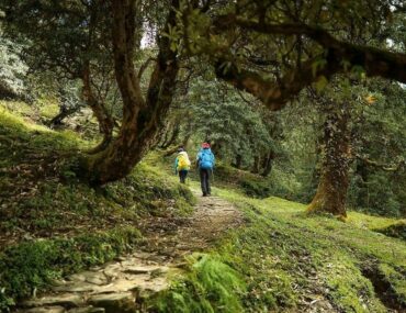 Ranthan Top Trek