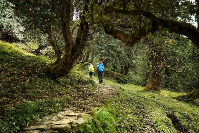 Ranthan Top Trek