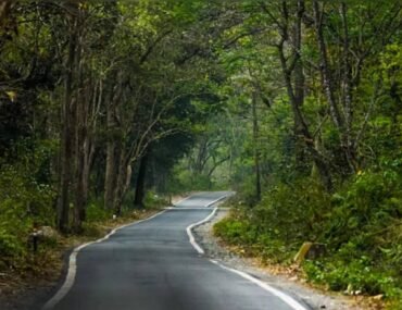 Corbett National Park To Nainital