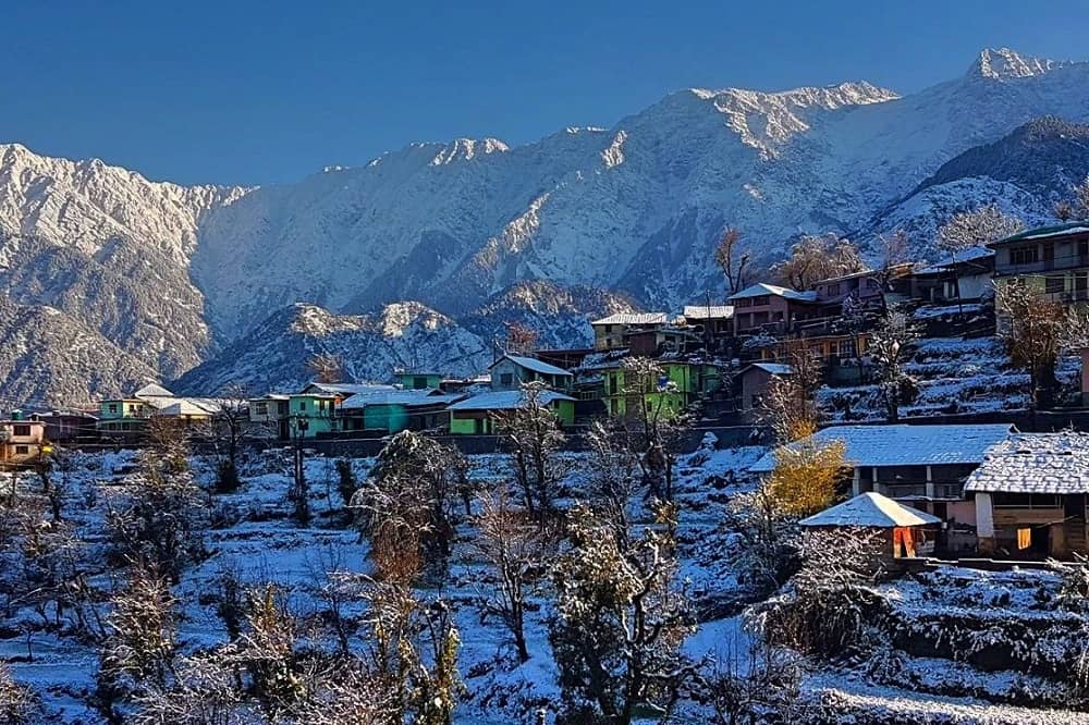 Winter Season View 