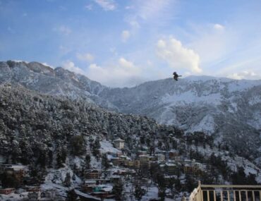 Snow in Mcleodganj