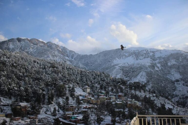 Snow in Mcleodganj