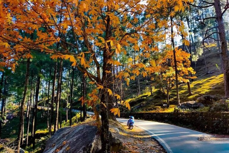 Chaukori Uttarakhand