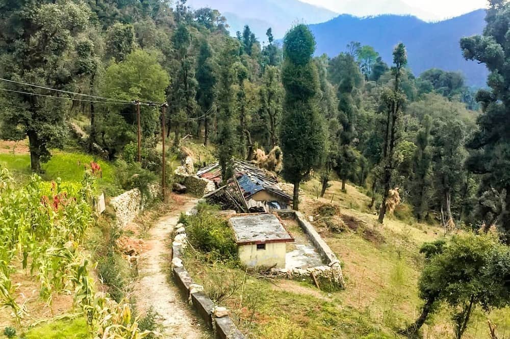 Chaurangi Khal