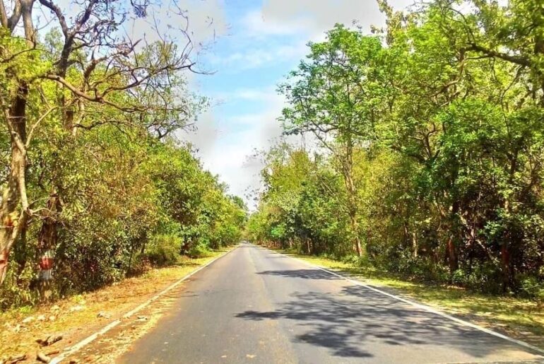 Haldwani to Kainchi Dham Distance, Routes & How to reach