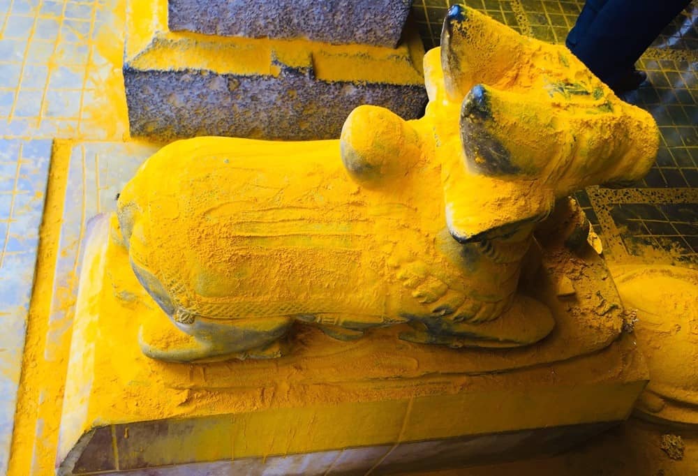 Nandi at Jejuri Khandoba Temple Pune