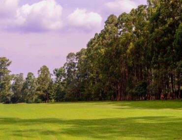 Ranikhet Golf Ground