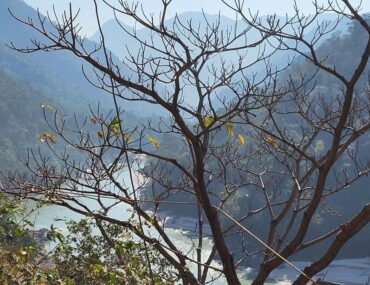 Connect with Rishikesh nearest Airport in Uttarakhand, India