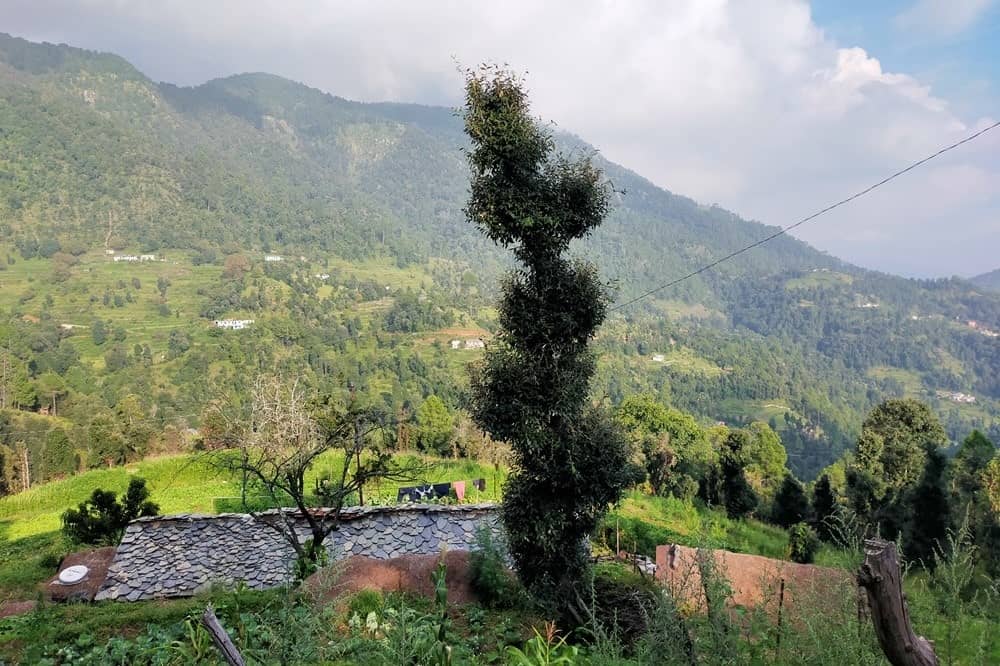 View from Joshi Guest house