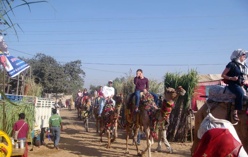 Camel Ride Pushkar Fair