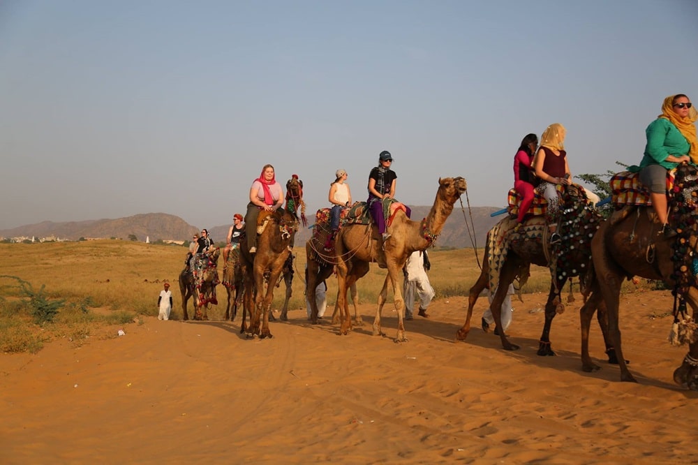 Camel Safari Pushkar Fair India