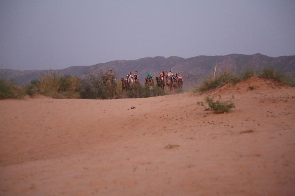 Desert Safari Pushkar Fair India
