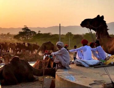 Pushkar Fair India 2024