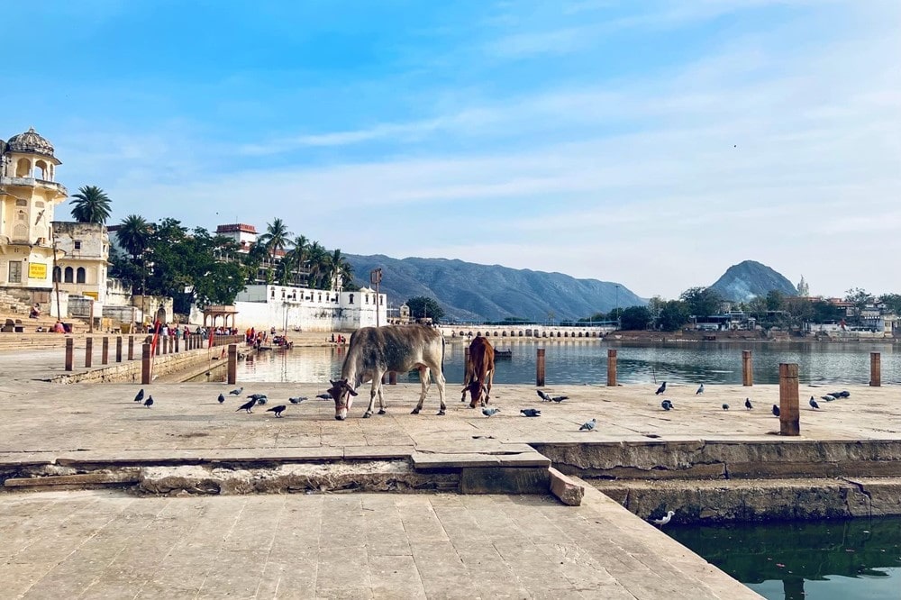 Pushkar India