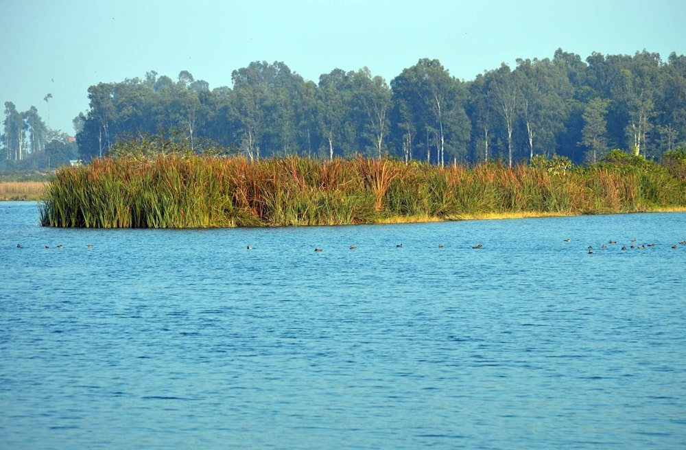 Asan River Conservation
