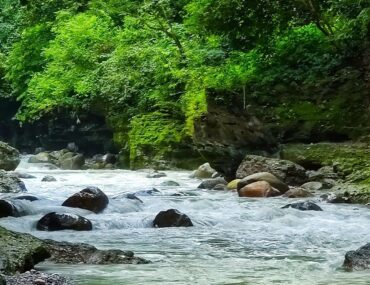 Asan River Wetland Dehradun