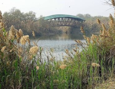Mayur Nature Park