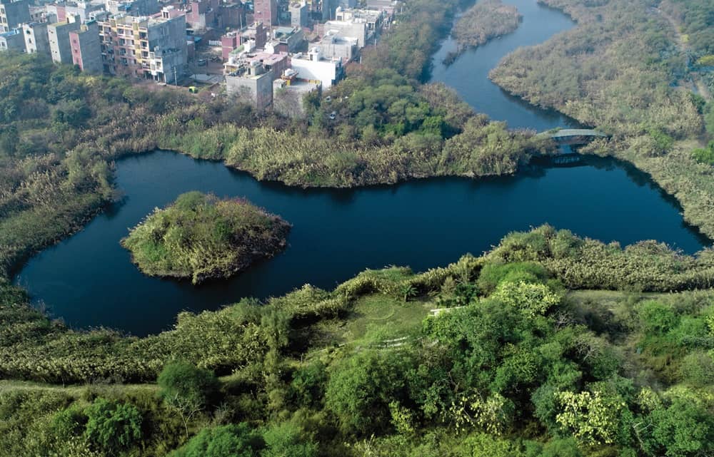 Yamuna Biodiversity park