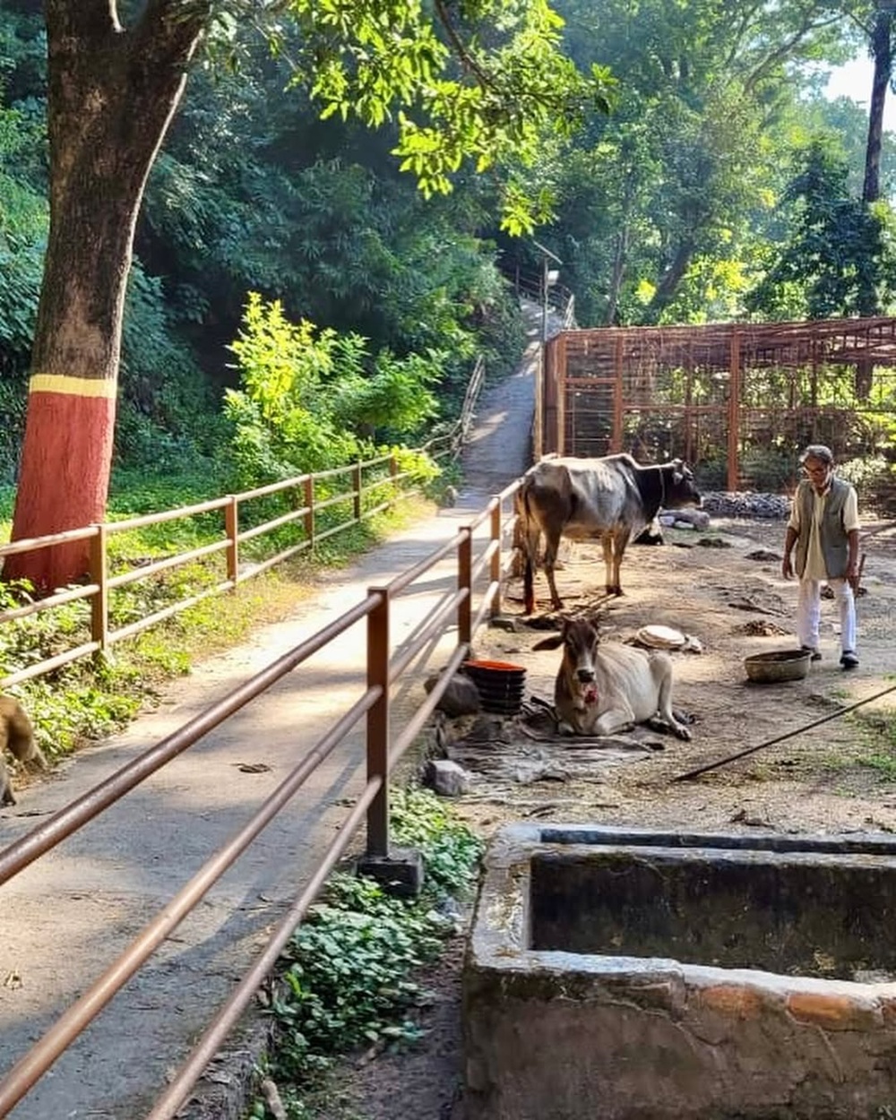 Vashishta Cave Rishikesh