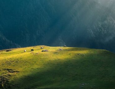 Panwali Kantha Bugyal trek