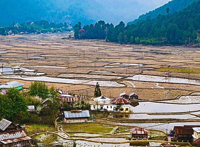 Ziro Valley, Arunachal Pradesh
