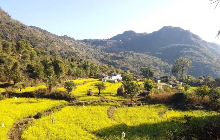 Barkot-Village-–-A-Birding-Guide-To-Rishikeshs-Himalayas-770×515