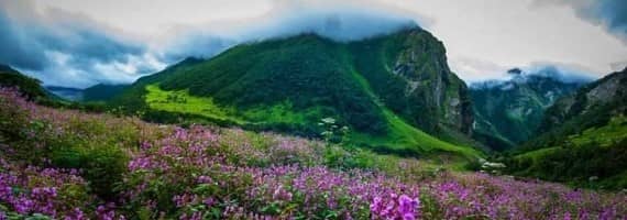 valley-of-flowers-uttarakhand