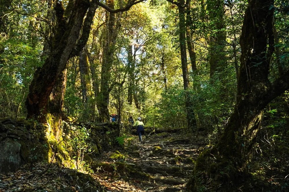 Chopta Deoaria Tal Trek